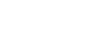 DOUBLE MOUNTAIN BREWERY