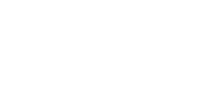 LEVEL BEER