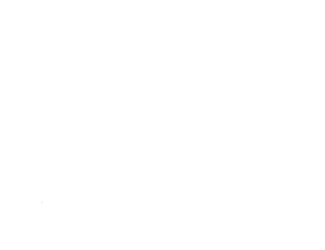 WOLF HOLLOW BREWING